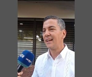 Peña visita a Cartes y asegura que "muy pronto estará plenamente recuperado" - El Trueno