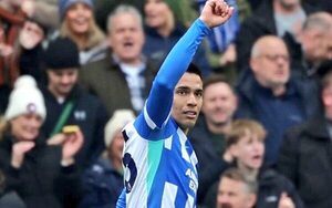 Popular / ¡Mirá el golazo que se mandó Diego Gómez!