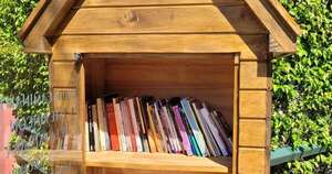 Diario HOY | Ladrones “arrepentidos” devolvieron libros robados de biblioteca callejera en Samber