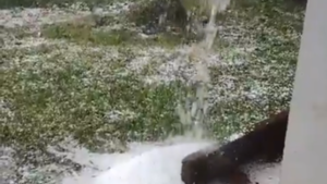 Reportan granizadas en varios departamentos