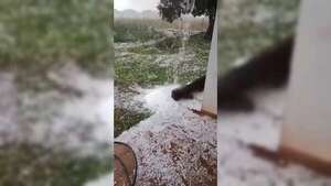 Video: intensa granizada azotó Mayor Otaño y causó daños en cultivos - Nacionales - ABC Color