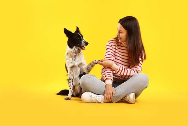 Pros y contras emocionales de que tu mascota no conviva con otros de su especie - Mascotas - ABC Color