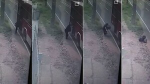 ¡Terrible! Doña cayó del micro y se fisuró la cadera