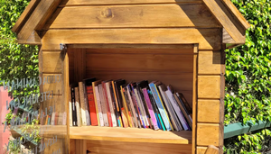 Ladrones “arrepentidos” devolvieron libros robados de biblioteca callejera en Samber
