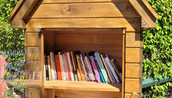 Ladrones “arrepentidos” devolvieron libros robados de biblioteca callejera en Samber