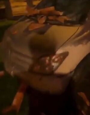 Mujer destruye e intenta incendiar el vehículo de un joven y deja heridos a sus padres