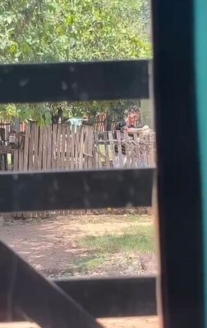 Joven habría maltratado a su abuela en San Luis - Concepción al Día