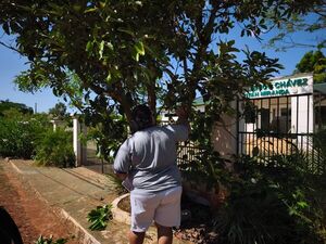 En su día libre, médico limpia y mejora la USF de Federico Chávez