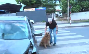 Accidente fatal: normalizan tomar y manejar porque no hay control, dice fiscal