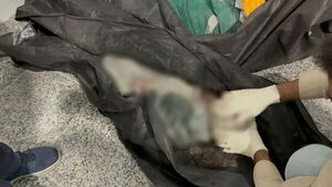 Agencia EFE denuncia que la IA de Grok posteó información falsa sobre bombardeo a escuela de Irán