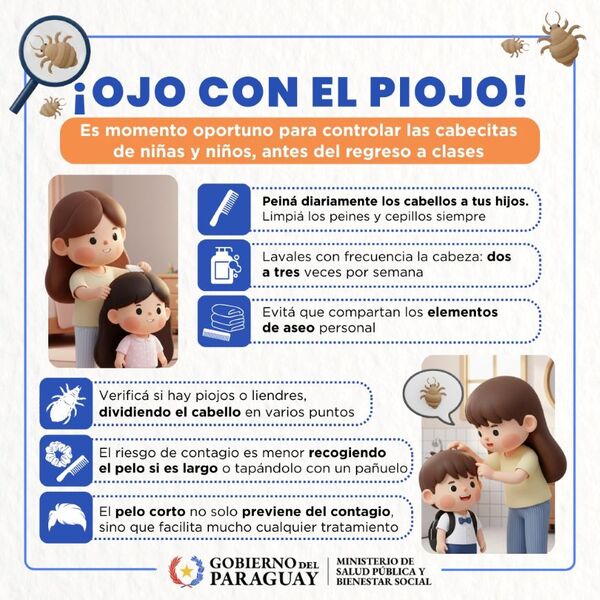 Retorno a clases: cuidados simples para prevenir los piojos