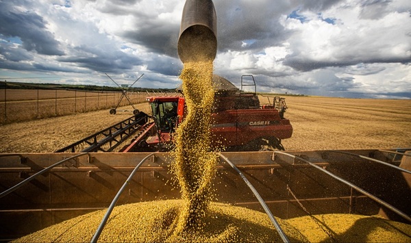Clima favorable en soja y alerta en la zafriña: el MAG monitorea humedad y fechas de siembra