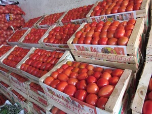 Tomate registra leve baja tras apertura temporal de importaciones