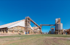 La agroindustria aceitera inicia el 2026 con señales de recuperación