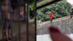 Mirón controla a su vecina: ella se dio cuenta mientras hacía asado