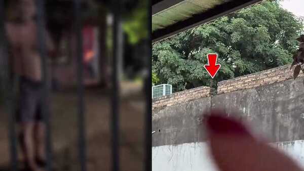 Mirón controla a su vecina: ella se dio cuenta mientras hacía asado