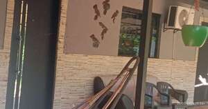 Diario HOY | Encuentran muerta a una mujer y a sus seis perros