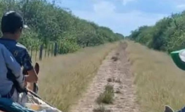 Docente completa viaje a caballo para iniciar clases en aislada comunidad del Alto Paraguay