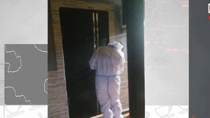 El inquietante hallazgo de una alemana y sus seis perros