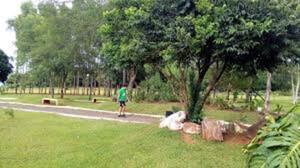 Más del 70% de la población paraguaya no realiza actividad física