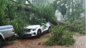 Sarambí por tormenta: En minutos árboles cayeron sobre autos y algunos "flotaron"