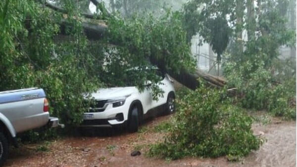 Sarambí por tormenta: En minutos árboles cayeron sobre autos y algunos "flotaron"