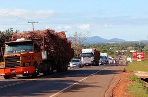 Cañicultores anuncian posible bloqueo con 500 vehículos ante demora en licitación de Petropar