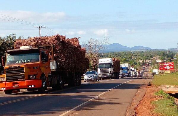 Cañicultores anuncian posible bloqueo con 500 vehículos ante demora en licitación de Petropar