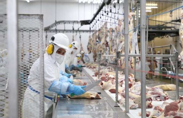 Caen envíos de carne, pero el mercado paga más por tonelada  - ABC Rural - ABC Color