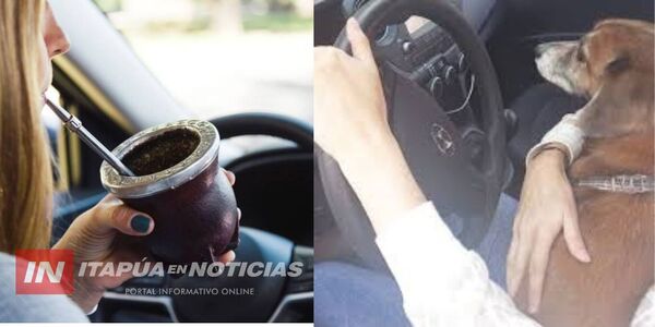 PATRULLA CAMINERA ACLARA QUE TOMAR TERERÉ O FUMAR AL VOLANTE PUEDE SER SANCIONABLE