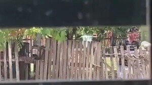 Video: Un nieto es detenido por supuesto maltrato a su abuela en Concepción