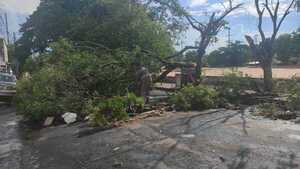 Lo que tenés que saber: Productos de belleza falsos, temporal violento y acusan a gobernadora de despilfarro