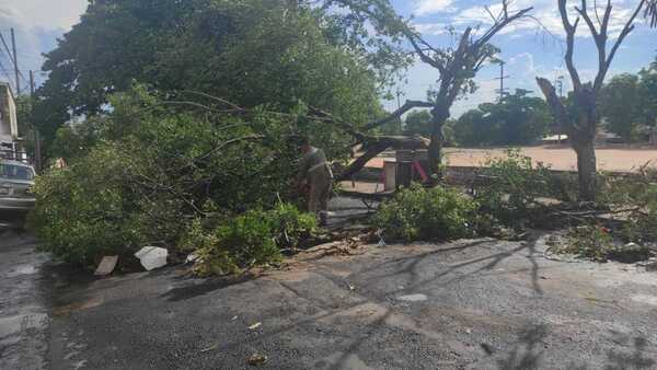 Lo que tenés que saber: Productos de belleza falsos, temporal violento y acusan a gobernadora de despilfarro