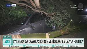 Temporal en Barrio Jara: Palmera aplasta dos vehículos tras fuerte tormenta