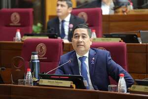 Nakayama defiende SOFA y acuerdo Mercosur-UE, que votará hoy el Senado - Política - ABC Color