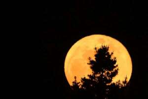 Eclipse lunar: la luna llena se tiñó de rojo y estas son las imágenes - Ciencia - ABC Color