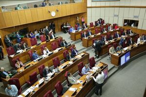 Senado posterga "sine die" estudio del proyecto de Caja Fiscal - trece