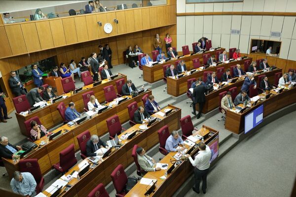 Senado posterga "sine die" estudio del proyecto de Caja Fiscal - trece