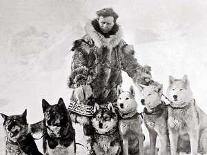 Balto y Togo: la historia de los perros que salvaron a un pueblo de Alaska de la difteria - Mascotas - ABC Color