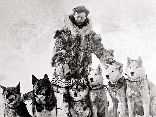 Balto y Togo: la historia de los perros que salvaron a un pueblo de Alaska de la difteria - Mascotas - ABC Color