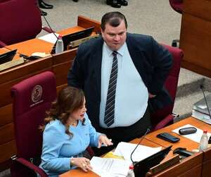 Reforma de caja fiscal: Amarilla descarta sanción ficta y anticipa cambios en el Senado - Política - ABC Color