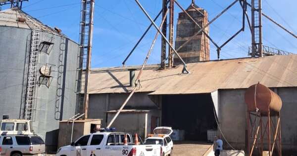 La Nación / Yguazú: trabajador falleció tras caer a un pozo de elevador de granos de un silo