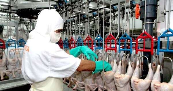 La Nación / Exportación de carne aviar cierra febrero con leve baja