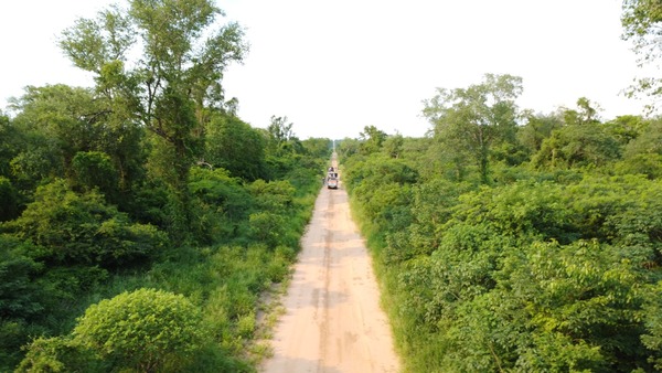 Instalan la primera parcela de monitoreo científico en el Monumento Natural Cerro Chovoreca