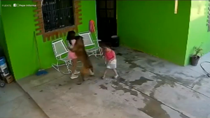 Niña de 7 años fue atacada brutalmente por su perro