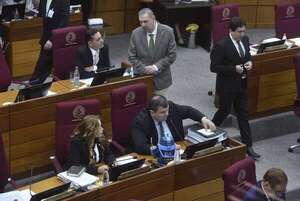 Por 28 votos, cartistas y aliados aprueban polémico acuerdo SOFA con EE.UU. - Política - ABC Color