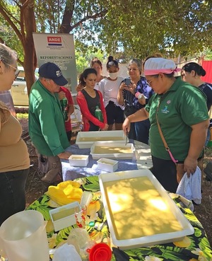 ANDE capacita en elaboración de jabón y detergente artesanal en Minga Guazú - ADN Digital