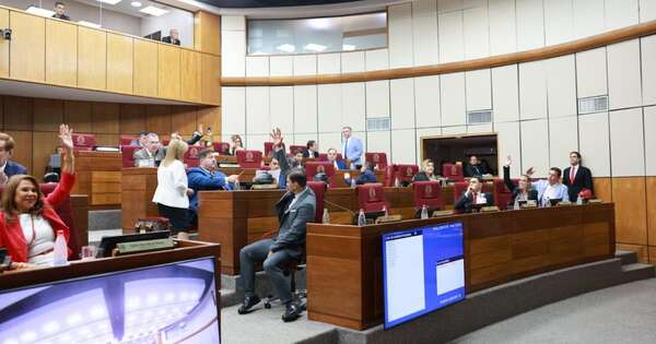 Diario HOY | Concepción y Alto Paraná: aprueban pasar Hambre Cero al Ministerio de Desarrollo Social