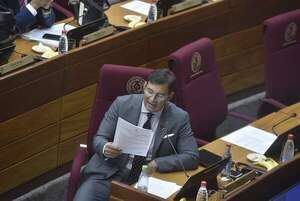 Senado quita “Hambre Cero” a gobernadora de Concepción tras lujoso 15 años - Política - ABC Color