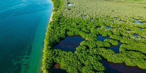 30x30: ¿Cuánto le costará a América Latina y el Caribe alcanzarlo?